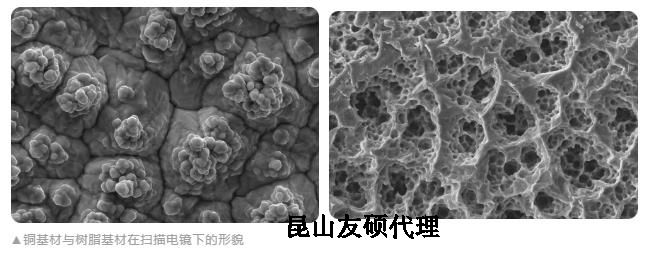 丽水蔡司丽水扫描电镜