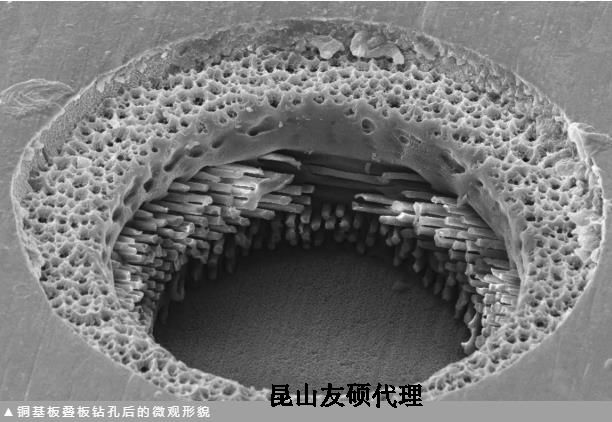 丽水蔡司丽水扫描电镜